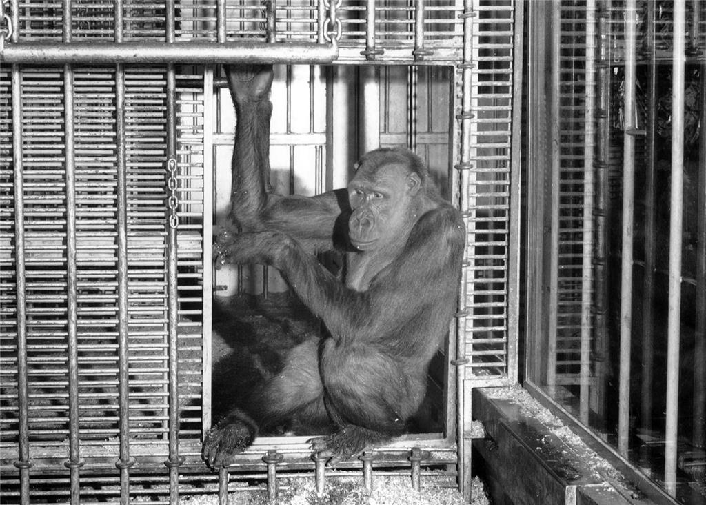 B&I Public Marketplace — A Living Landmark of the South Sound